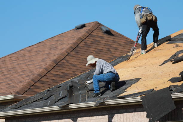 Best Roof Installation  in Lake Ozark, MO