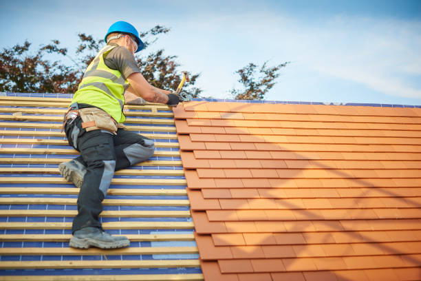 Best Storm Damage Roof Repair  in Lake Ozark, MO